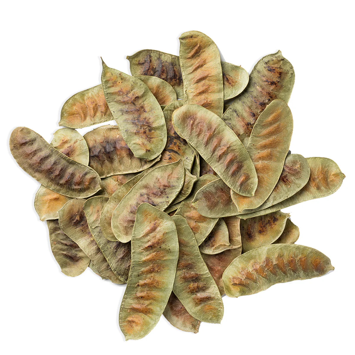 Senna Pods 50g