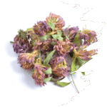 Red Clover Blossom 30g